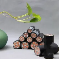 2025 Top 10 furnizori de cablu YJV 0,6-1kv din China